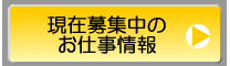 ���ݕ�W���̂��d�����